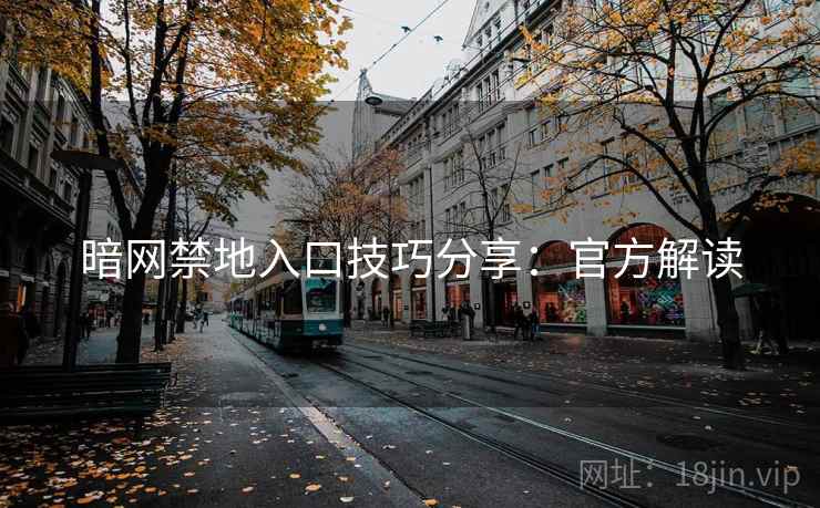 暗网禁地入口技巧分享：官方解读