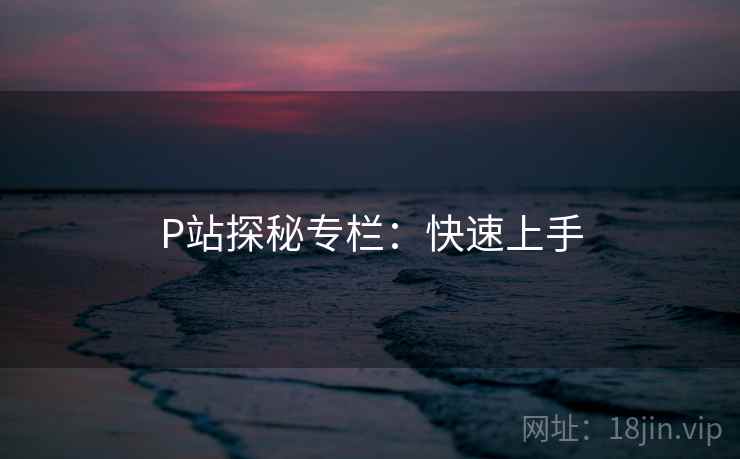 P站探秘专栏：快速上手