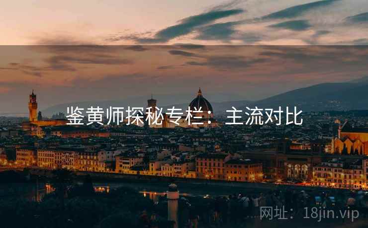 鉴黄师探秘专栏:主流对比 鉴黄师探秘专栏:主流对比