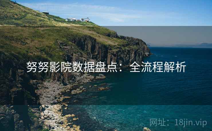 努努影院数据盘点：全流程解析