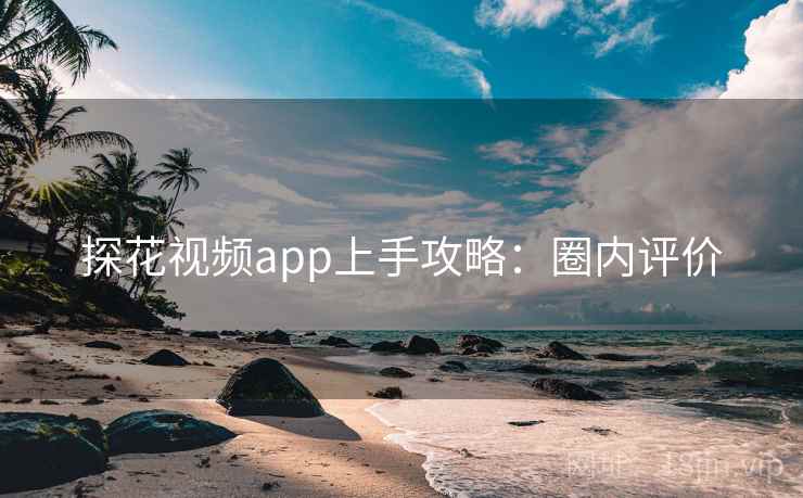探花视频app上手攻略：圈内评价