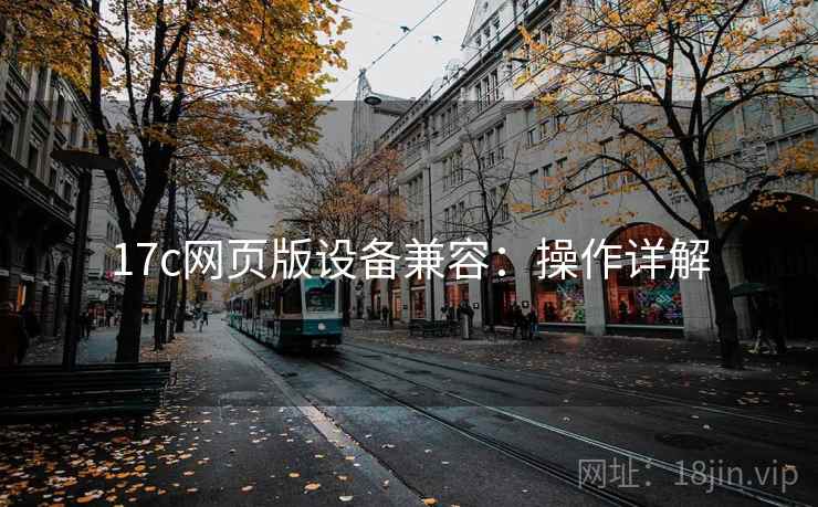 17c网页版设备兼容：操作详解
